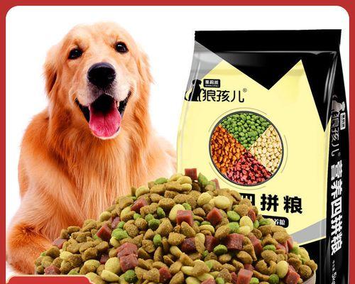 金毛小狗吃什么狗粮好?如何选择适合的狗粮品牌?