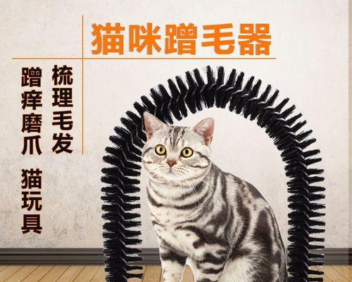 猫脖子痒怎么处理方法？有哪些有效的家庭治疗方案？
