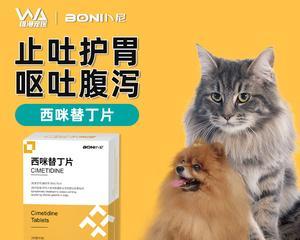 猫肠胃炎怎么治疗?有效家庭护理方法有哪些?