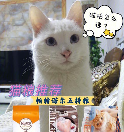 猫粮对猫咪有什么好处?选择合适猫粮的五大理由是什么?