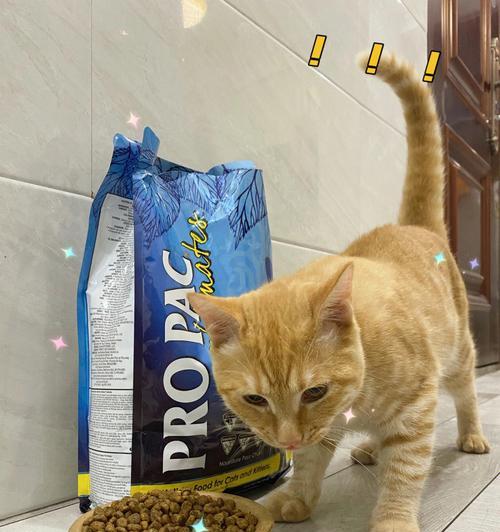 猫咪补充牛磺酸的最佳食物有哪些?
