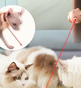 猫咪对逗猫棒不感兴趣怎么办？如何挑选能吸引猫咪的玩具？