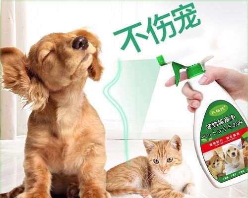 猫咪多久需要进行一次体外驱虫?常见问题解答?