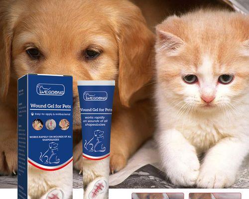 猫咪伤口消炎用什么药?如何正确选择消炎药物?