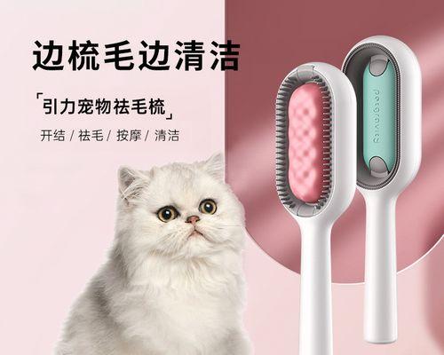 猫咪眼角有异物怎么办?如何安全清理?
