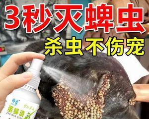 土狗身上发现虱子该如何处理?有效去除方法是什么?