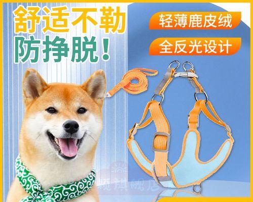 夏天狗狗下小狗怎么办?如何确保母犬和幼犬健康?