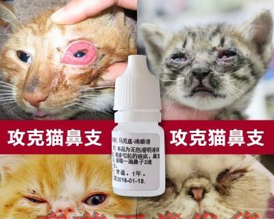 小狗流浓鼻涕吃什么药？如何正确选择宠物药物？