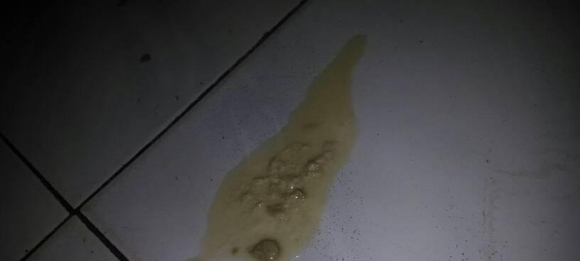一个月大小猫拉稀怎么办?如何预防和治疗?