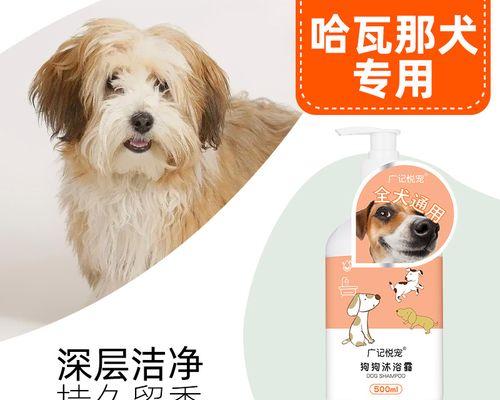 幼犬误食沐浴露后怎么办?紧急处理和预防措施是什么?