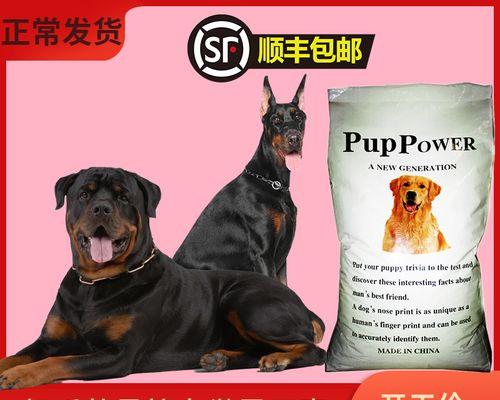 幼犬应该吃幼犬狗粮多久?何时更换成成犬狗粮?