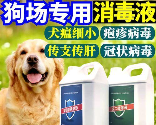 幼犬怎么预防细小犬瘟？有效措施有哪些？