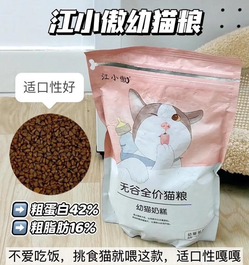 布偶猫是否适合食用加菲猫猫粮?