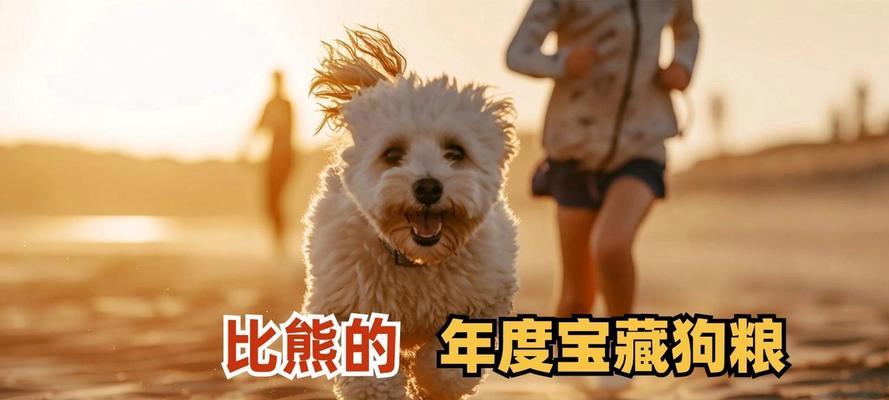 三个月的小比熊一顿喂多少狗粮?喂食量如何控制?