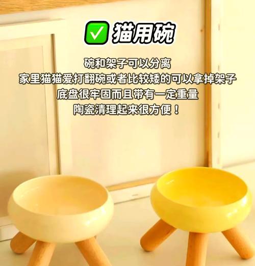 猫家禽和家畜哪个更适合初学者？养哪个更省心？