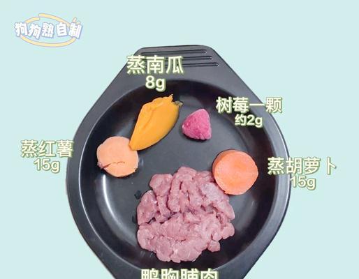 比熊产后多久可以开始进食？