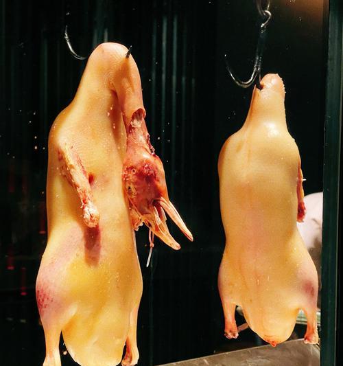 比熊可以吃鸭心鸭肝吗？怎么做的好吃？