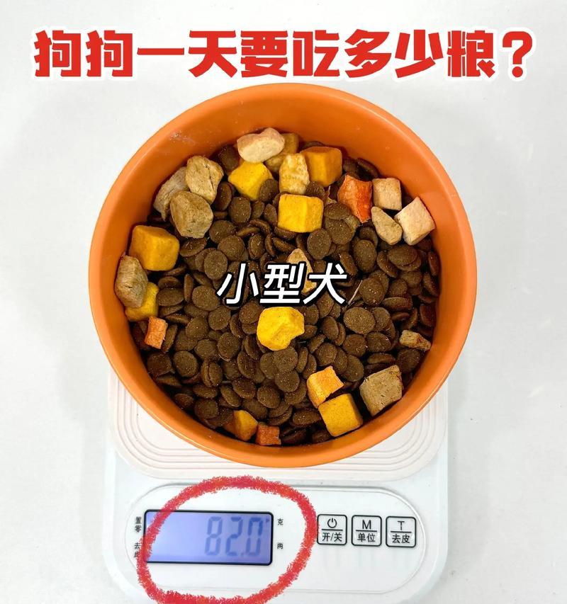 中型犬每日狗粮的推荐摄入量是多少?