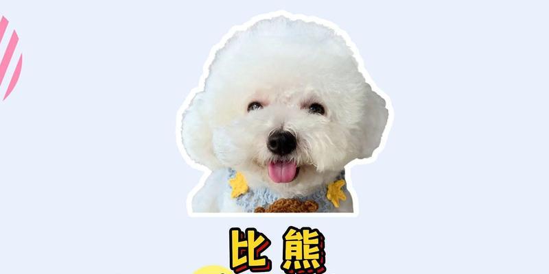 两个月大的比熊一次应该吃多少狗粮？喂食量如何控制？