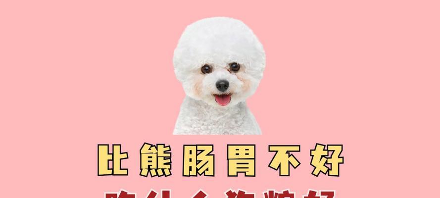 幼犬比熊吃酸奶泡狗粮好吗？对消化有帮助吗？