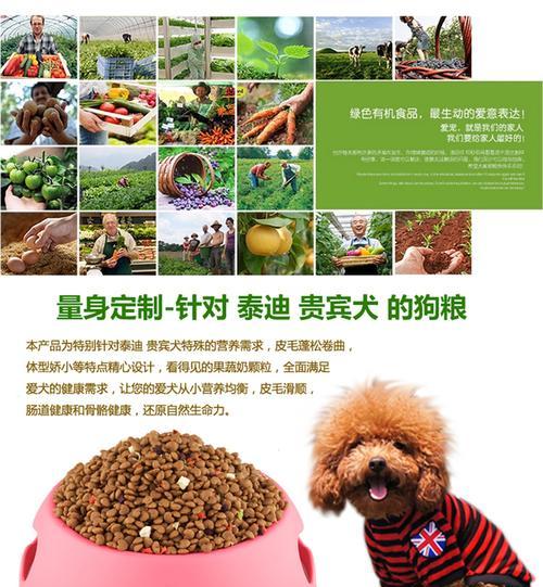 泰迪奶糕的选择和喂食量如何掌握？