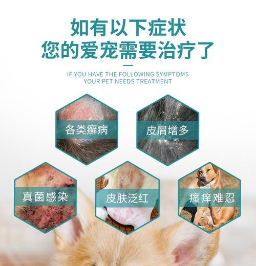 泰迪药浴的费用是多少？