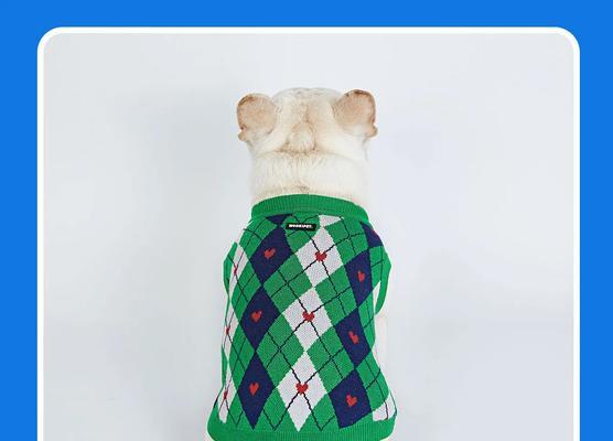 小型犬适合哪些宠物服装?如何选择合适的款式?