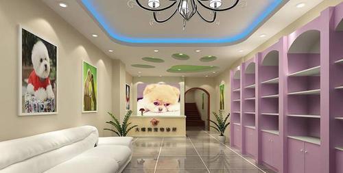 呼市适合大型犬洗澡的宠物店有哪些？价格如何？