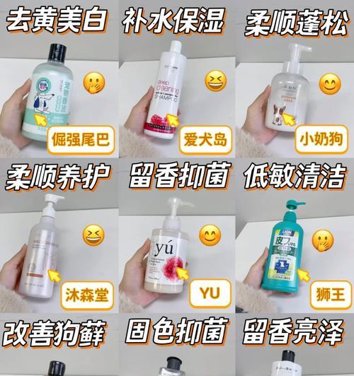 保定泰迪洗澡多少钱？选择宠物店的注意事项有哪些？