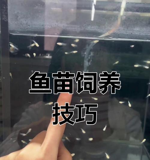 鱼苗喂饱了就死亡原因是什么?如何避免鱼苗过度喂食?