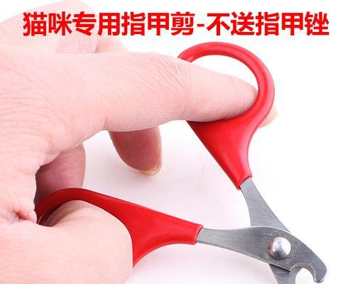 给泰迪犬剪指甲的费用大概是多少?