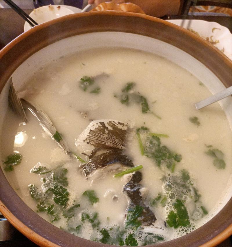 章公鱼鱼苗是什么？如何正确养殖章公鱼鱼苗？