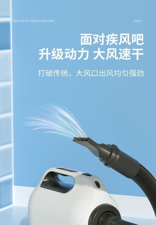 哪些品牌适合大型犬的烘毛机?
