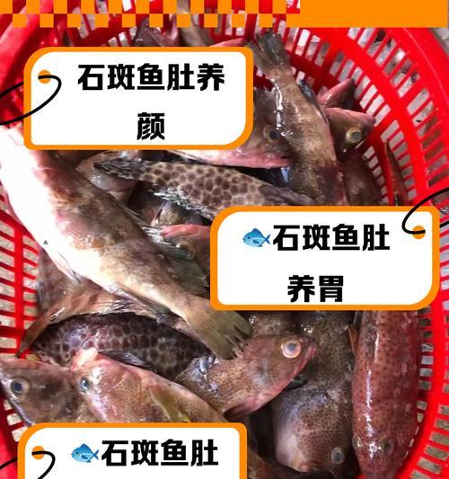 石斑鱼苗翻肚浮水面是疾病吗?如何预防和治疗?