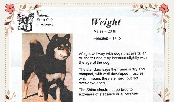 柴犬正常排便量是多少毫升?如何判断柴犬的健康状况?