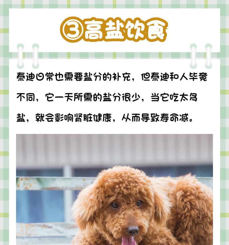一般情况下泰迪的寿命有多长?如何延长泰迪的寿命?