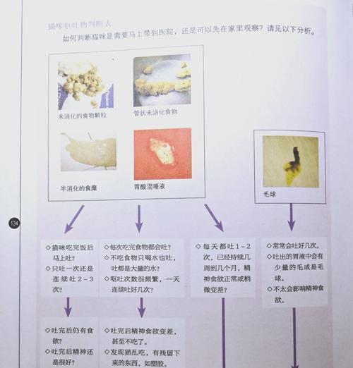猫喜欢吃劲道脆猫粮的原因是什么?这对健康有益吗?