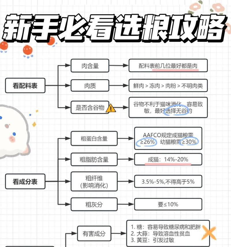 如何通过账号营销推广猫粮？有哪些有效策略？