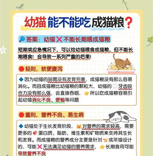 流浪猫幼猫吃成年猫粮会有什么影响？如何正确喂食幼猫？