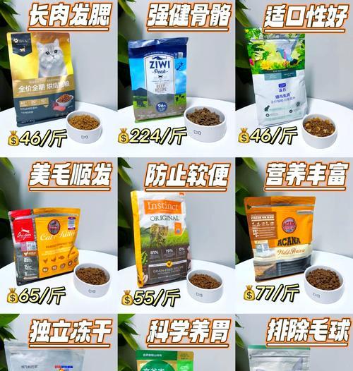 星期猫应该喂什么类型的猫粮？如何选择适合星期猫的猫粮？