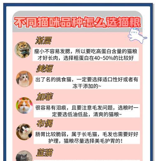 猫粮有问题时如何进行急救处理?