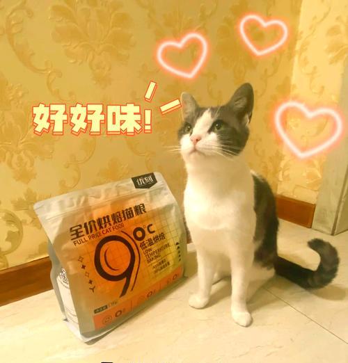 猫经常跑来家偷吃猫粮怎么办？