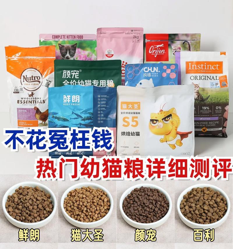 一岁的猫咪是否应该继续吃幼猫粮？原因是什么？