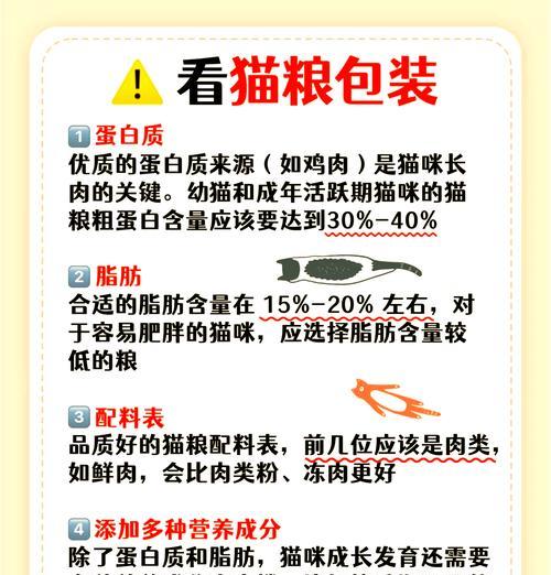 出差时如何正确给猫留猫粮？留猫粮时应该注意哪些问题？