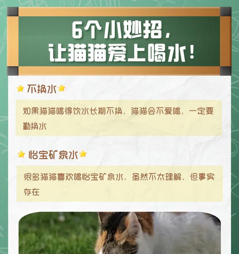 猫喝水不吃猫粮拉血水怎么办？猫八个月吃什么什么味的粮？