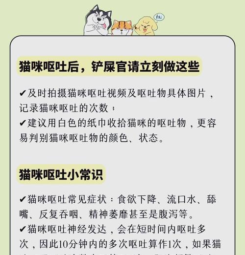 猫就吐不拉不吃猫粮怎么回事？可能的健康问题有哪些？