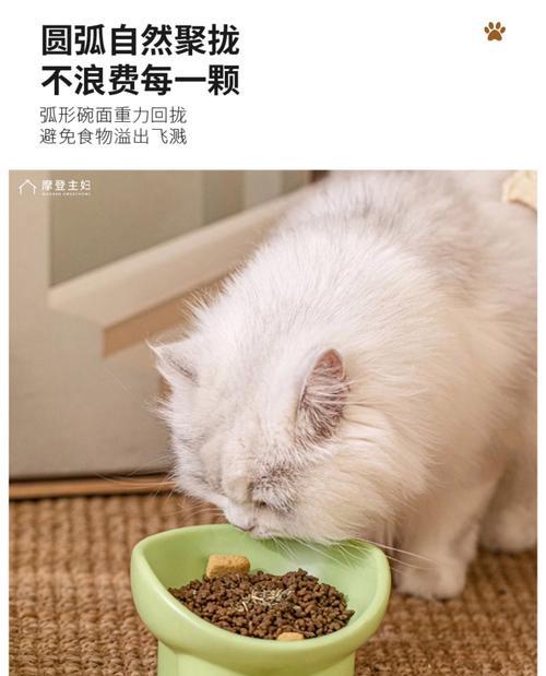 猫碗垫漏粮问题如何解决？
