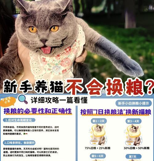 成猫换粮后不吃食是怎么回事？如何解决换粮问题？