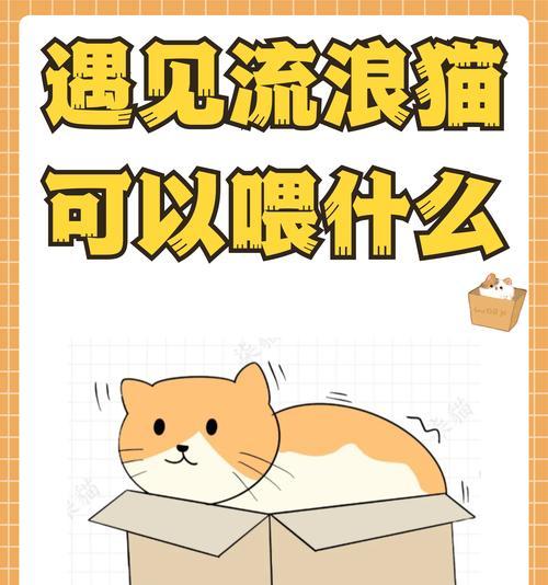 每天喂猫咪猫粮的正确方式是什么？