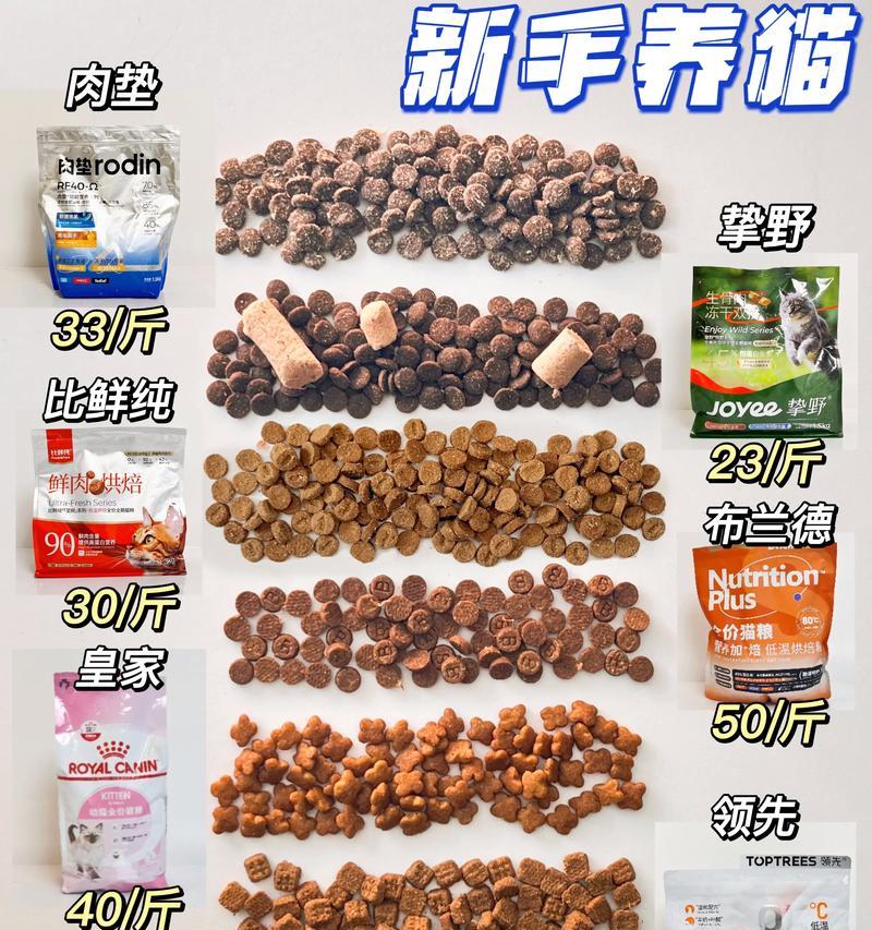 猫粮不足时可以用什么代替?有哪些健康的替代品?